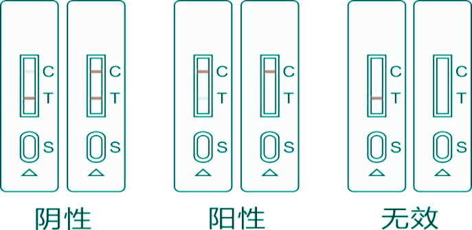 沙丁胺醇快速檢測卡結果判讀