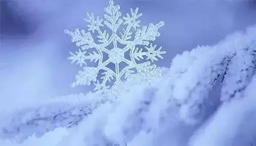 降雪是由水蒸氣冷凝形成的固態降水